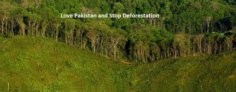 Love Pakistan and Stop Deforestation